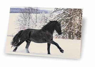 Winter Horse Graphic Sign